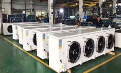 product-500-300 product-500-300