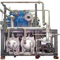 Alemana Lehilahy Turbo Centrifugal Air Compressor Rik{0}}T100